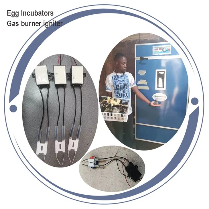 timer-controlled gas burner igniters