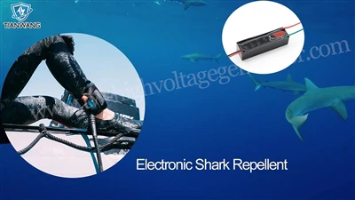 Máy phát điện cao áp DC được sử dụng trong thuốc đuổi cá mập