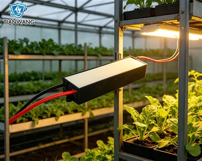 Máy phát tĩnh điện cao áp cho nông nghiệp: Giải pháp thông minh cho nhà kính ...